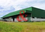Galpão industrial logístico alugar RS BR 101